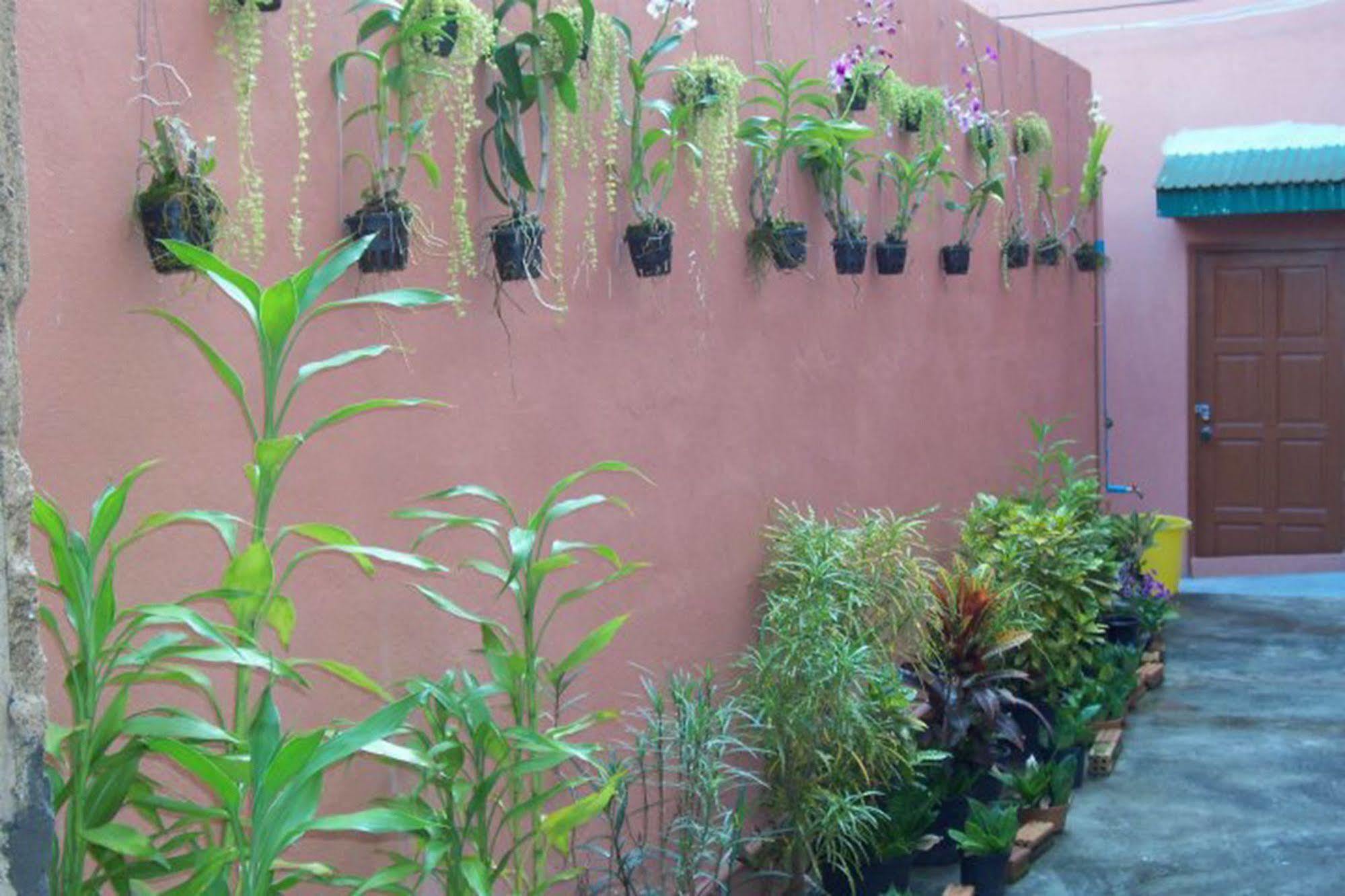 D'S Corner & Guesthouse Phuket Kültér fotó